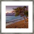 Kaanapali Beach Trees Maui Sunset Framed Print