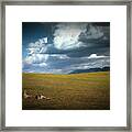 Kangaroos And Approaching Storm Framed Print