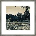 Kansas University Campanile Over Potters Lake Panorama In Sepia Framed Print