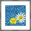 Keep Your Sunny Days By The Pool Framed Print