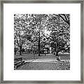 Kenyon College Middle Path Framed Print