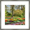 Keukenhof Gardens Iv Framed Print