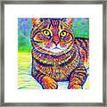 Kevin The Colorful Brown Tabby Cat Framed Print