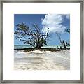 Key West Waters Framed Print