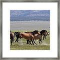 Kicking Up Dust By Windmill Framed Print