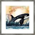 Killer Whale Ice North Sun Abstraction Drawing With Bit Of Water Framed Print