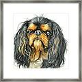 King Charles Spaniel In Watercolor Framed Print