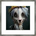 King Iggy Framed Print