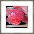Kiss From A  Rose Maria Callas On The Piano Framed Print