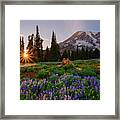 Kissed By The Paradise Sun Framed Print