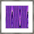 Knotty Purple Tree Bark - Abstract Framed Print