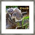 Koala Bear Framed Print