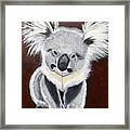 Koala Bear-teddy K Framed Print