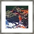 Koi Fish In A Pond Iii Framed Print