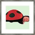 Ladybug #2 Framed Print