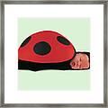 Ladybug #3 Framed Print