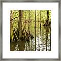 Lake Chicot 02 Op Framed Print