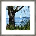 Lake Erie Calm Framed Print