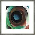 Lake George In The Woods - Abstract Modernist Landscape Aerial View Framed Print