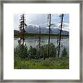 Lake In Jasper National Park Framed Print