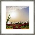 Lake Placid Florida Sunrise Framed Print