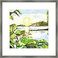 Lake Winyah Framed Print