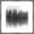 Landscape Forest Photo 141 Framed Print