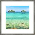 Lanikai Beach Two Sea Turtles And Two Mokes Framed Print