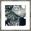 Large Monochromatic Modern Abstract Painting -  All Of My Love Framed Print