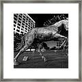 Las Colinas Mustang 01 Framed Print