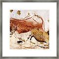 Lascaux Cow And Horse Framed Print