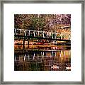 Late Afternoon Swim Framed Print