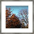 Late Autumn Golden Hour - Soft Framed Print