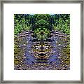 Laughing Waters Of The Umpqua Forest Framed Print