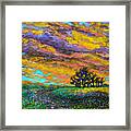 Lavender Meadow Framed Print