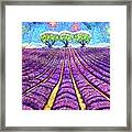 Lavender Framed Print