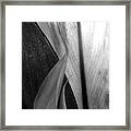 Leaf Points And Lines Black And White Framed Print