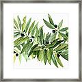 Leaves And Berries Framed Print