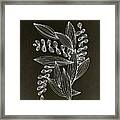 Leaves Line Drawing Abstract 2 Framed Print