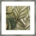 Leaves No1 Framed Print