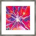 Lefthand Abstracts Series #3 - Red Fora Macro Framed Print