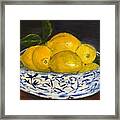 Lemons - A Still Life Framed Print