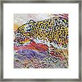 Leopard's Gaze Framed Print