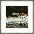 Hunting On The Shore Framed Print