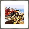 Lichen Covered Rocks Bay Of Fires Framed Print