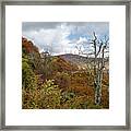 Lichen Covered Trees At A Blue Ridge Parkway Overlook Framed Print