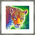 Light In The Rainforest - Jaguar Framed Print