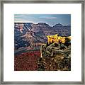 Light Painted Grand Canyon Framed Print