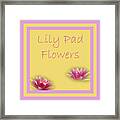 Lily Pad Flowers Framed Print