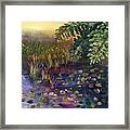Lily Pads In The Pond Framed Print